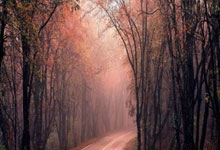 买球app哪个好用 -手机被(bèi)远程操控！吉首公安紧急止损58万