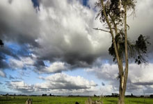 2026世界杯买球app -2026 稳定安全远控首选：向日葵远程控制办公场景实测