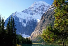 买球app哪个好用 -手机被(bèi)远程操控！吉首公安紧急止损58万