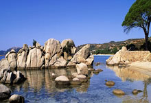 买球app哪个好用 -手机被(bèi)远程操控！吉首公安紧急止损58万