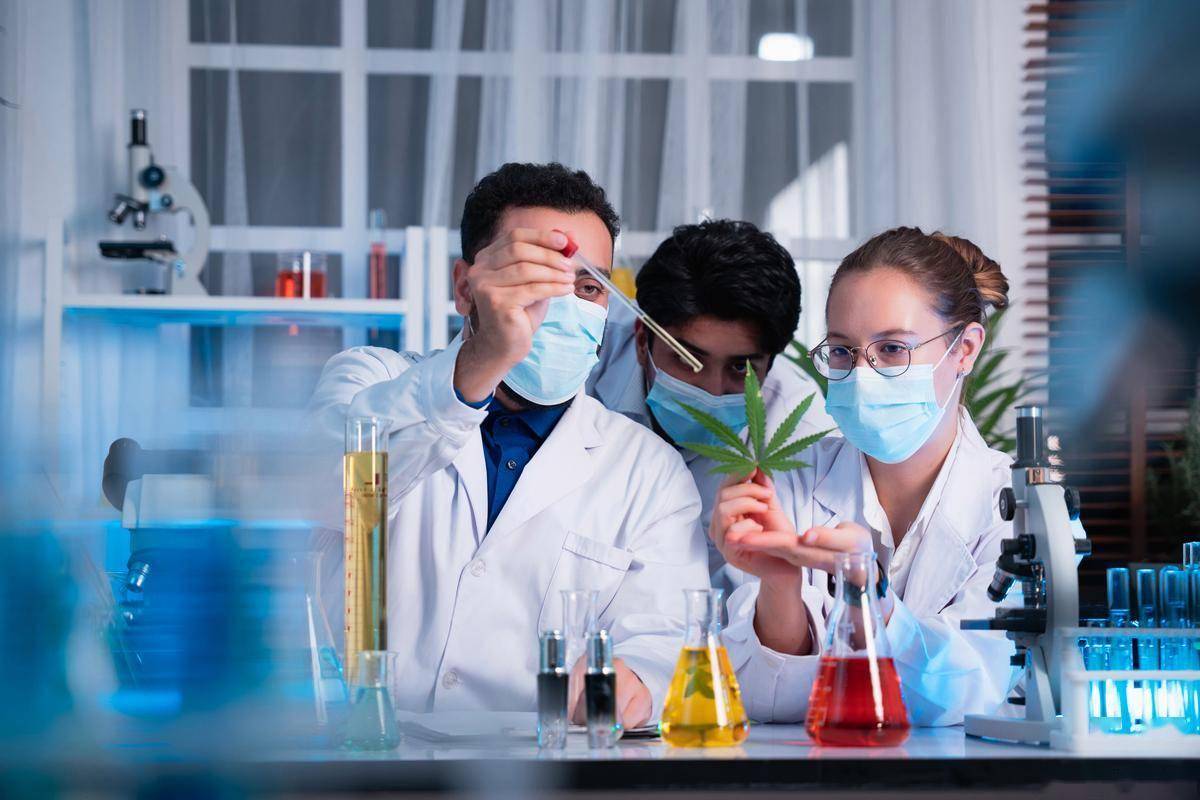 手机APP连接检测，第三方手机APP连接检测机构