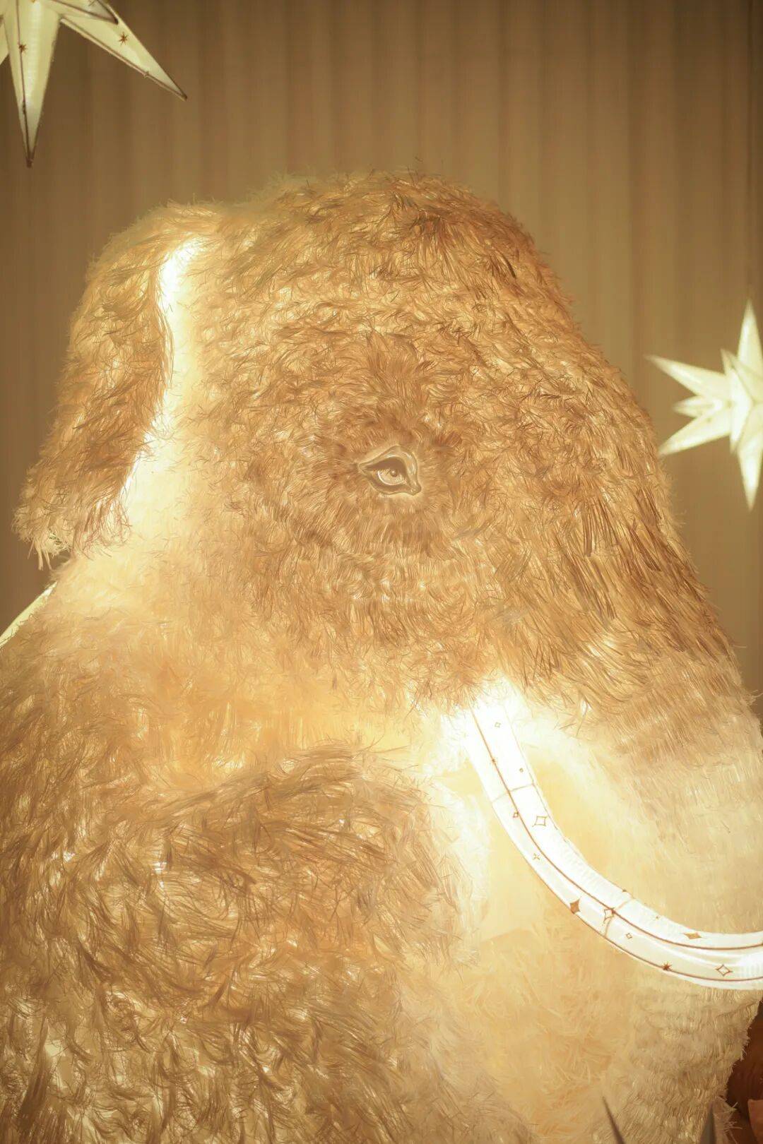 灯火在场 WHEN LIGHT GATHERS