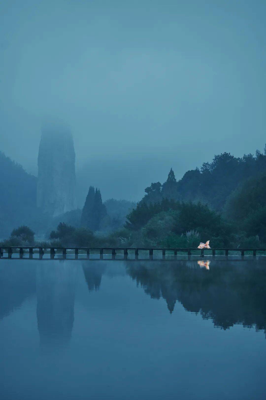 灯火在场 WHEN LIGHT GATHERS