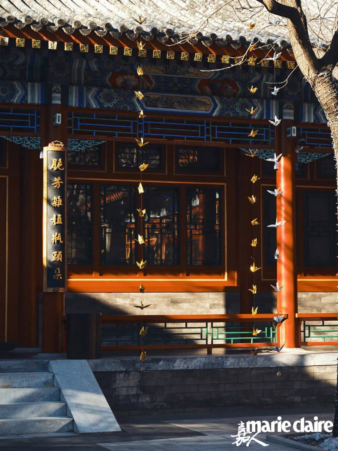 灯火在场 WHEN LIGHT GATHERS